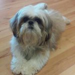Luz Robinson - @lovlu57 - Instagram