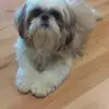 luzrobinson949 - @luzrobinson949 - TikTok