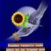 Luz Roque - Facebook