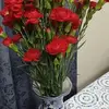 Luz Mercedes Mina-Sharp - @luzsharp0 - TikTok