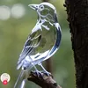 Luz Sharp - @luz.sharp2 - TikTok