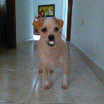 Luz Tabares - @luz_tabares - Instagram