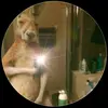 Luz Tello aguillon - @luz.tello.aguillo - TikTok