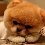 Luz Tenorio - @luz.tenorio.54 - Instagram