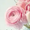 🤷‍♀️ - @luziveloz - TikTok