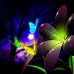 LUZ ALEXANDRA TORO WHITE - @alexatw2003 - Instagram