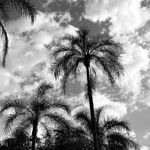 Luz Black & White - @luz_photos_bw - Instagram
