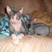 Lydia Blake - Facebook