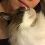 Lydia Blakeley - @lydiablakeley - Instagram