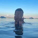 lydia chadbourne - @lydiachadbourne - Instagram