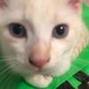 user1914057855801 - @lydiaboyce7 - TikTok