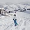 lydia.bryce - @lydia.bryce - TikTok