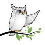 Lydia Burdick - @silverowlsays - Instagram