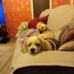 Lydia Carpenter - Facebook