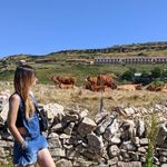 Lydia Cases - @lydia_cases - Instagram