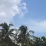 lydia - @lydia.case2 - TikTok