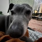 Lydia Cheek - Facebook