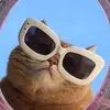 lydia_coffey_ - @lydia_coffey_ - TikTok