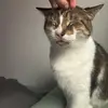 Lydia Coffey - @lydiacoffey0 - TikTok