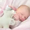 lydiacollier479 - @lydiacollier479 - TikTok
