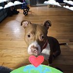Lydia Conner - @lydia.conner.1 - Instagram