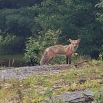 Kate Leblanc - @lydia.cote.7792 - Instagram