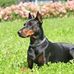 Lydia Cramer - Facebook
