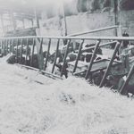 Lydia Cross - @lydiacross1456 - Instagram
