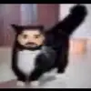 lydia_desantis - @lydia_desantis - TikTok