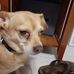 Lydia Dotson - Facebook