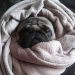 Lydia Downs - @lydiad06 - Instagram