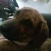 Lydia Downs - Facebook