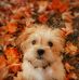 Lydia Dye - Facebook