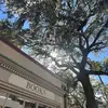 Lydia Farris Psy.D. - @lydia.farris - TikTok