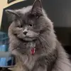 Lydia Fuller - @honey.treble - TikTok