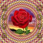 Lydia Fuller - @fullerlyds - Instagram