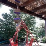 Lydia Gabriel - @lydia.gabriel.16121 - Instagram