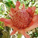 Lydia Gerard - @lgcore76 - Instagram