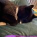 Lydia Glover - Facebook