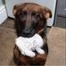 Lydia Grayson - Facebook