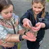 lydia_griffin4 - @lydia_griffin4 - TikTok