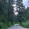 Lydia Griffin - @lydia.griffin8 - TikTok