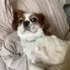 Lydia - @lydiaharperrrrr - TikTok