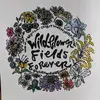 Lydia Hicks - @wildflowerfields.forever - TikTok