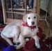 Lydia Hopper - Facebook