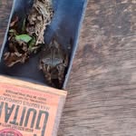 Jonathan James Jacang - @lydiahorner - Instagram