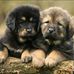 Lydia Jaeger - Facebook