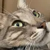 lydia.ledesma - @lydia.ledesma - TikTok