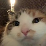 Lydia - @_lydia_ludwig_ - Instagram