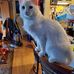 Lydia Marlow - Facebook
